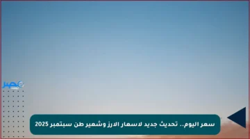 سعر اليوم.. تحديث جديد لأسعار الأرز وشعير طن سبتمبر 2025